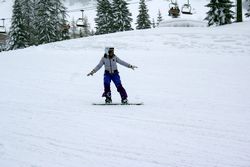 Alta Val Badia (146), Claudia R (45), Sci Alpino (290)